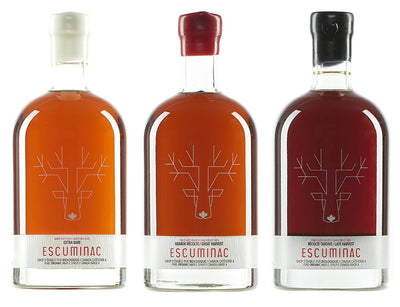 Escuminac maple syrup flavors, a question of harvest period